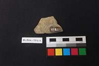 陶片藏品圖，第2張