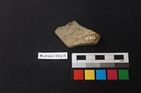 陶片藏品圖，第2張