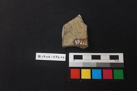 陶片藏品圖，第2張