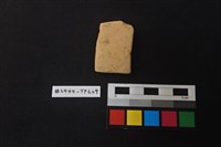 陶片藏品圖，第1張