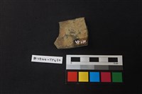 陶片藏品圖，第2張