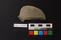 磨製盤形器藏品圖，第2張