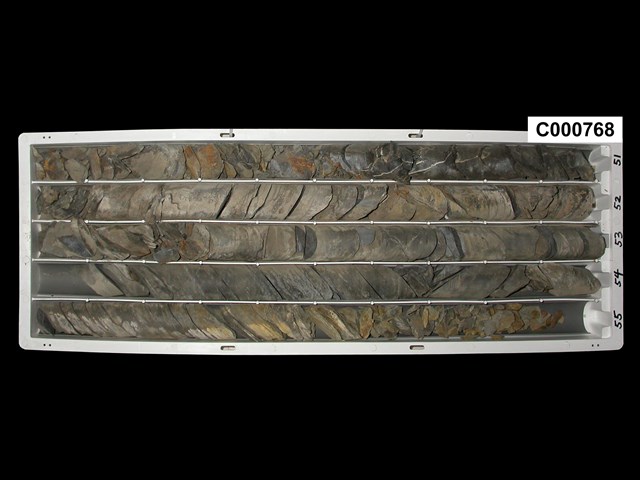Accession Number:C000768 collection