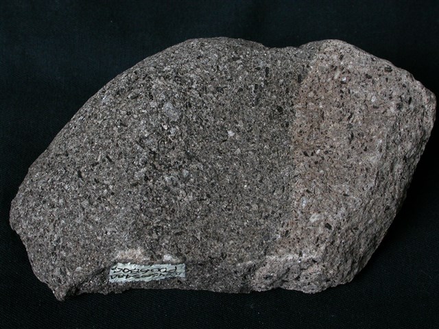 Biotite hornblende andesite