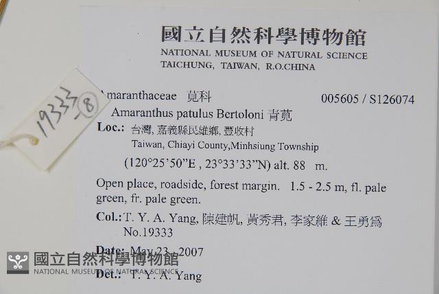 青莧藏品圖，第12張