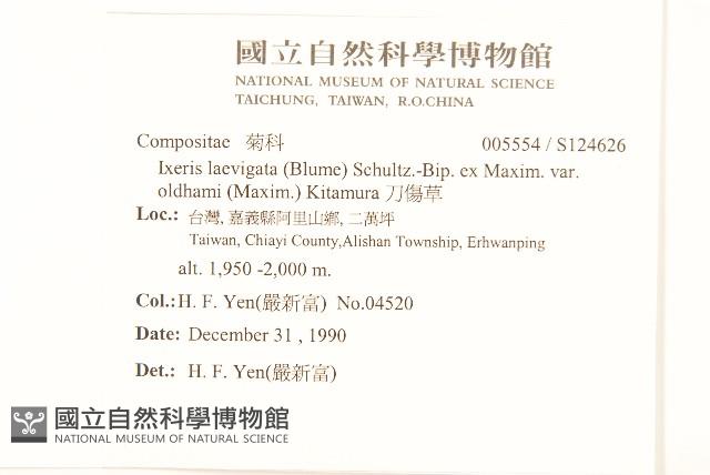 刀傷草藏品圖，第2張