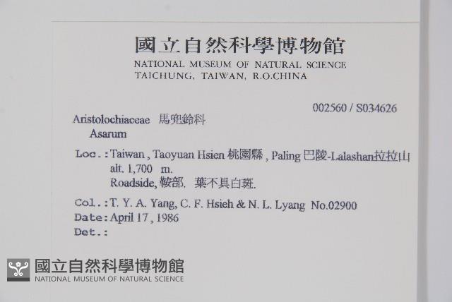 登錄號:S034626藏品圖，第2張