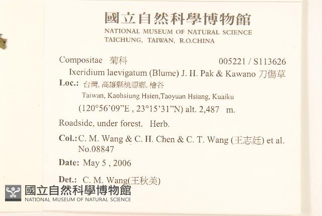 刀傷草藏品圖，第2張