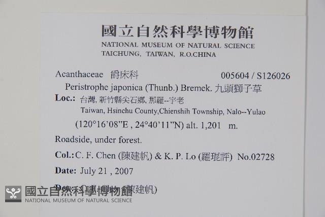 九頭獅子草藏品圖，第2張