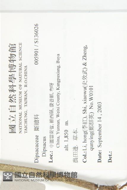 登錄號:S136026藏品圖，第2張