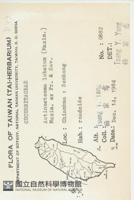 合子草藏品圖，第2張