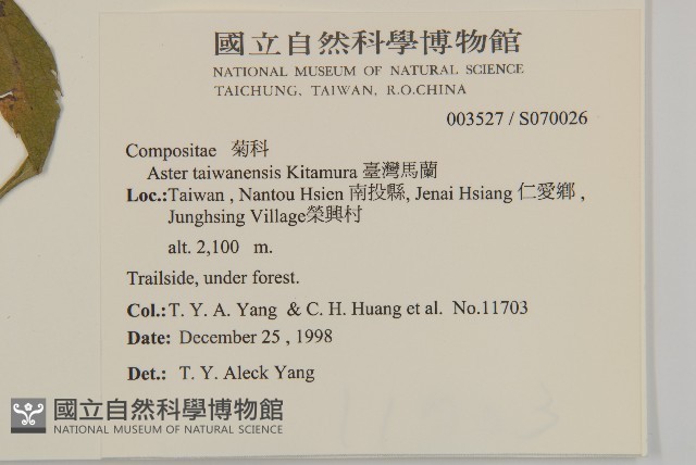 臺灣馬蘭藏品圖，第2張