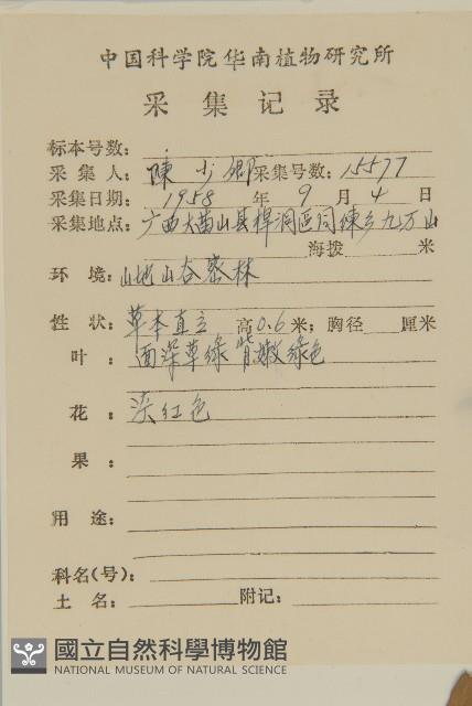 山白蘭藏品圖，第2張