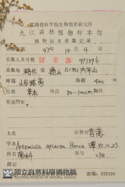 青蒿藏品圖，第2張