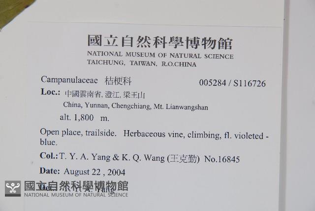 登錄號:S116726藏品圖，第2張