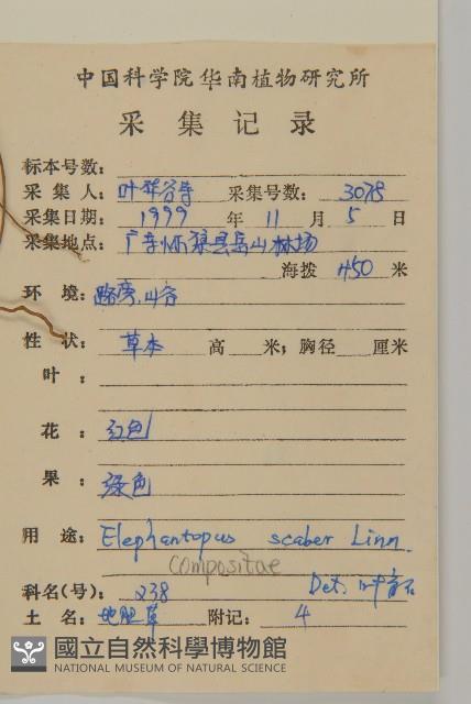 燈豎朽藏品圖，第2張