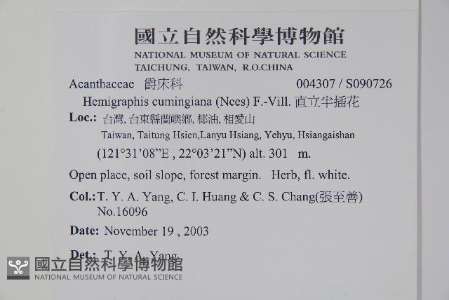 直立半插花藏品圖，第2張