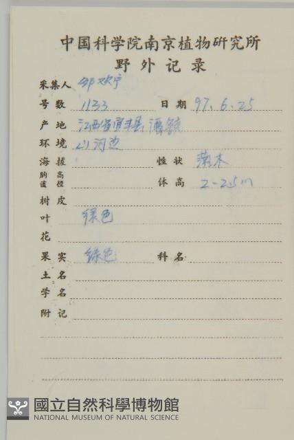 鴉椿衛矛藏品圖，第2張