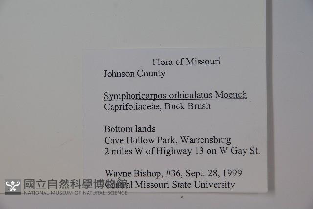 登錄號:S080726藏品圖，第2張