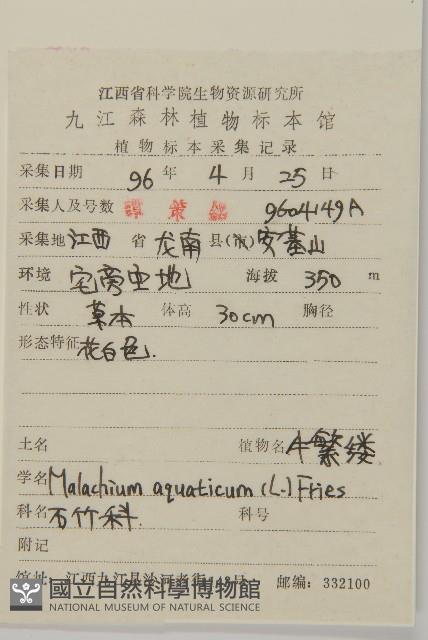 牛繁縷藏品圖，第2張