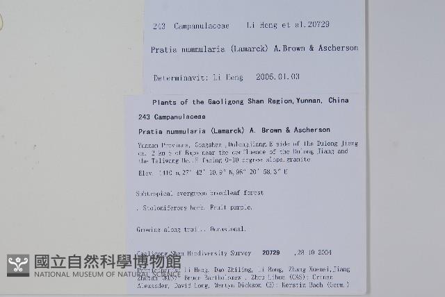 普剌特草藏品圖，第2張