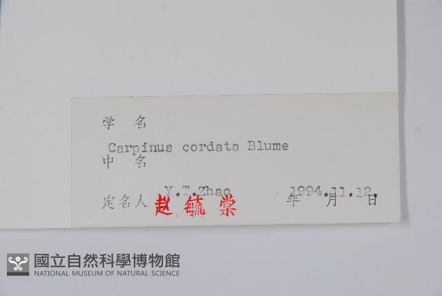 千金榆藏品圖，第2張