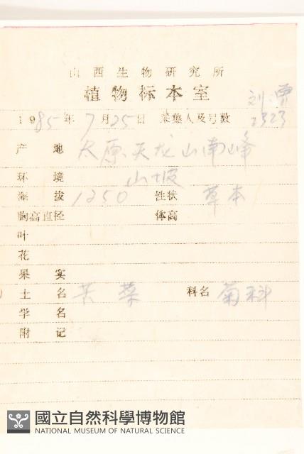 兔仔菜藏品圖，第2張