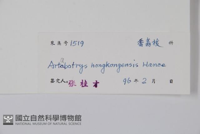 香港鷹爪花藏品圖，第2張