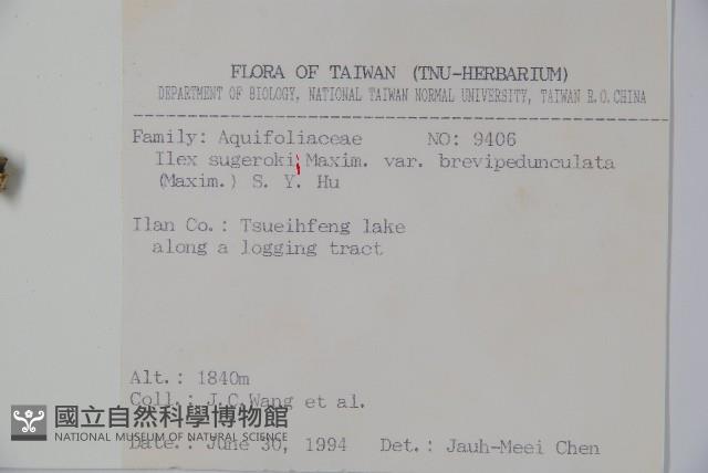 太平山冬青藏品圖，第2張