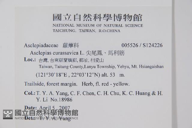 尖尾鳳、馬利筋藏品圖，第2張