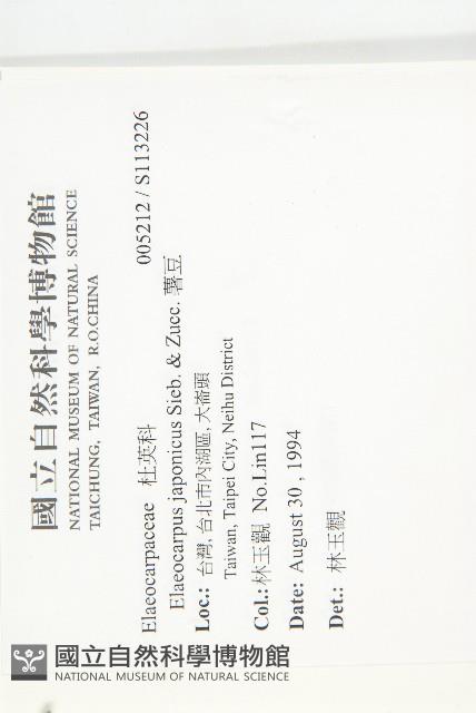 薯豆藏品圖，第2張