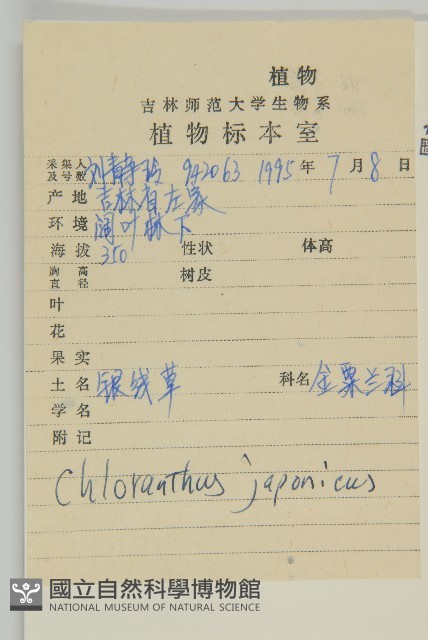 銀線草藏品圖，第2張
