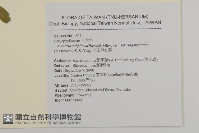 高山無心菜藏品圖，第2張