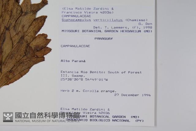 登錄號:S051426藏品圖，第2張