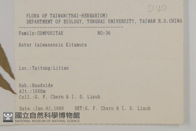 臺灣馬蘭藏品圖，第2張