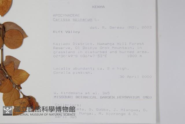 登錄號:S093426藏品圖，第2張