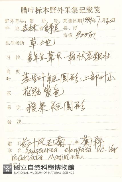 長白鳳毛菊藏品圖，第2張