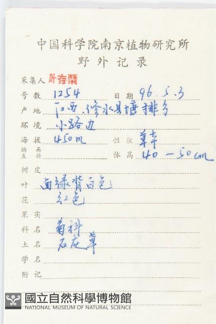 泥胡菜藏品圖，第2張