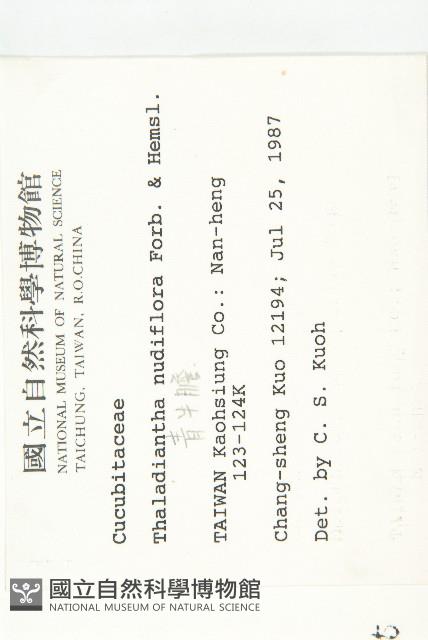 青牛膽藏品圖，第2張