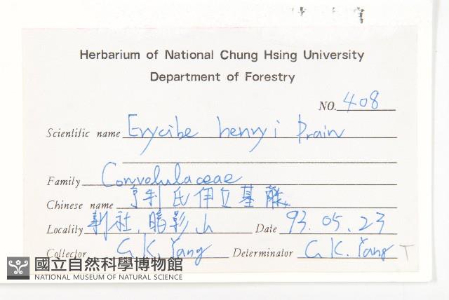 亨利氏伊立基藤藏品圖，第2張