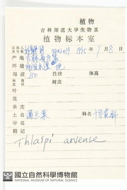 凹果菥蓂、遏藍菜藏品圖，第2張