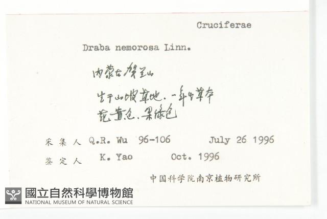 葶藶藏品圖，第2張