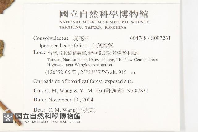 登錄號:S097126藏品圖，第2張