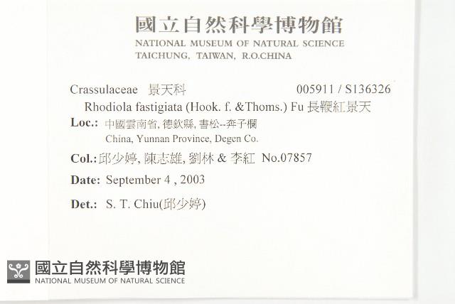 Accession Number:S136326 Collection Image, Figure 2, Total 2 Figures