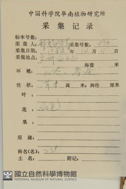 山白蘭藏品圖，第2張