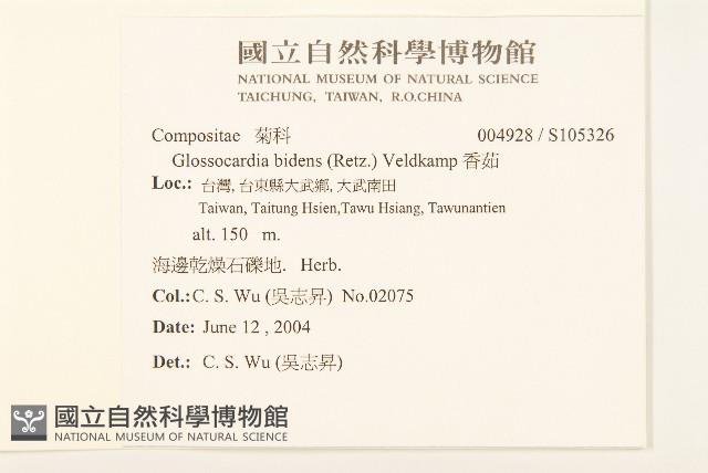 香茹藏品圖，第2張