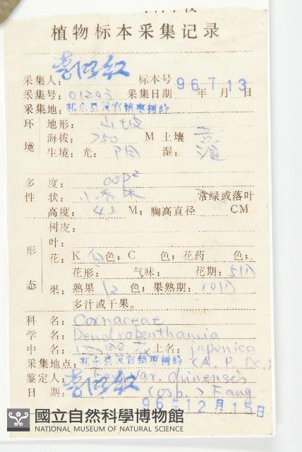 四照花藏品圖，第2張