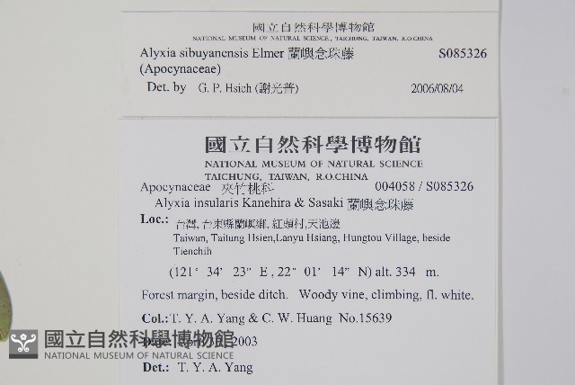 蘭嶼念珠藤藏品圖，第5張