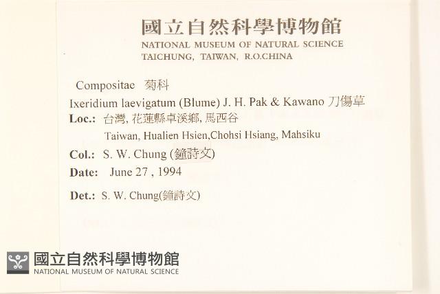 刀傷草藏品圖，第2張