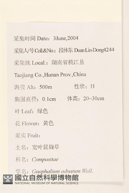 紅面番藏品圖，第2張